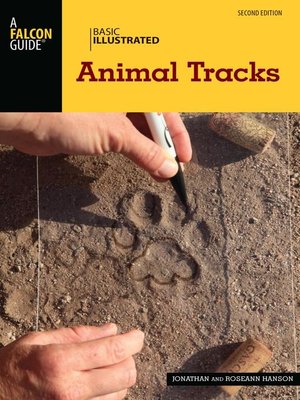 cover image of Basic Illustrated Animal Tracks